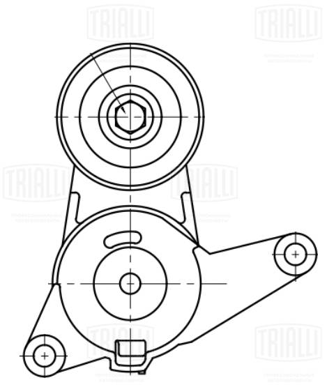 Натяжитель ремня клиновой зубча TRIALLI CM 5446