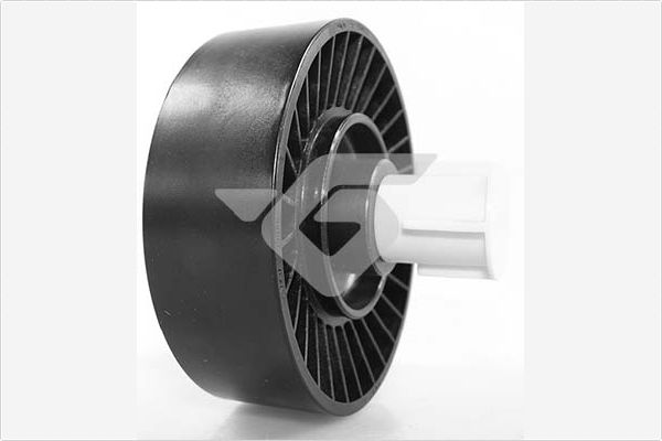 Паразитный / ведущий ролик поликлиновой ремень HUTCHINSON T0458