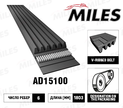 Поликлиновой ремень MILES AD15100
