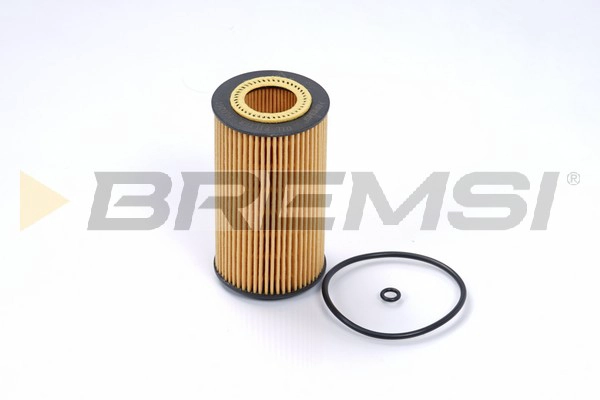 Масляный фильтр BREMSI FL0261