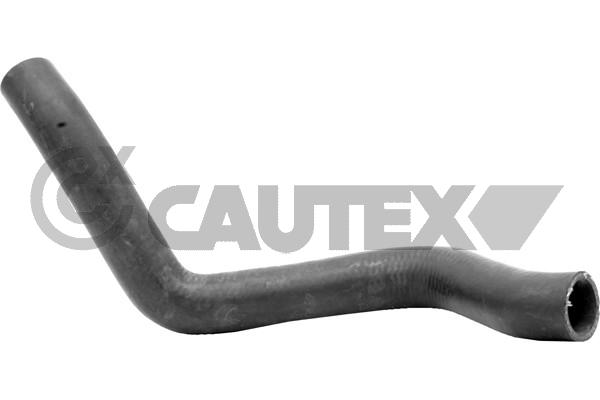 Шланг радиатора CAUTEX 766747
