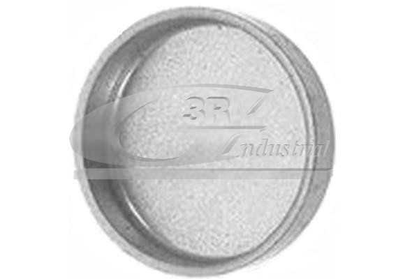 Пробка антифриза 3RG 84019
