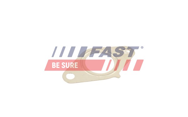 Прокладка клапан возврата ог FAST FT50616