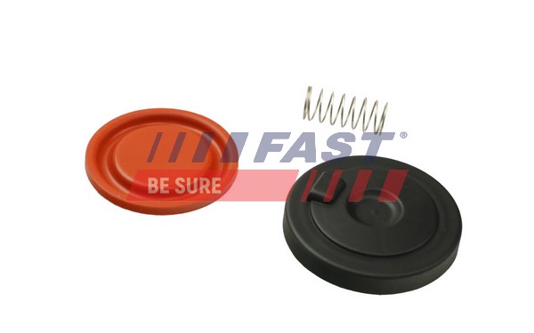 Клапан отвода воздуха из картера FAST FT60106