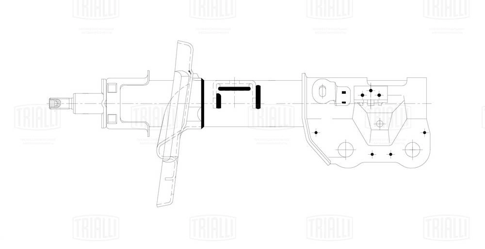 Амортизатор TRIALLI AG 25363