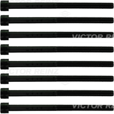Комплект болтов головки цилидра VICTOR REINZ 14-10882-01