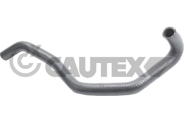 Шланг радиатора CAUTEX 765548