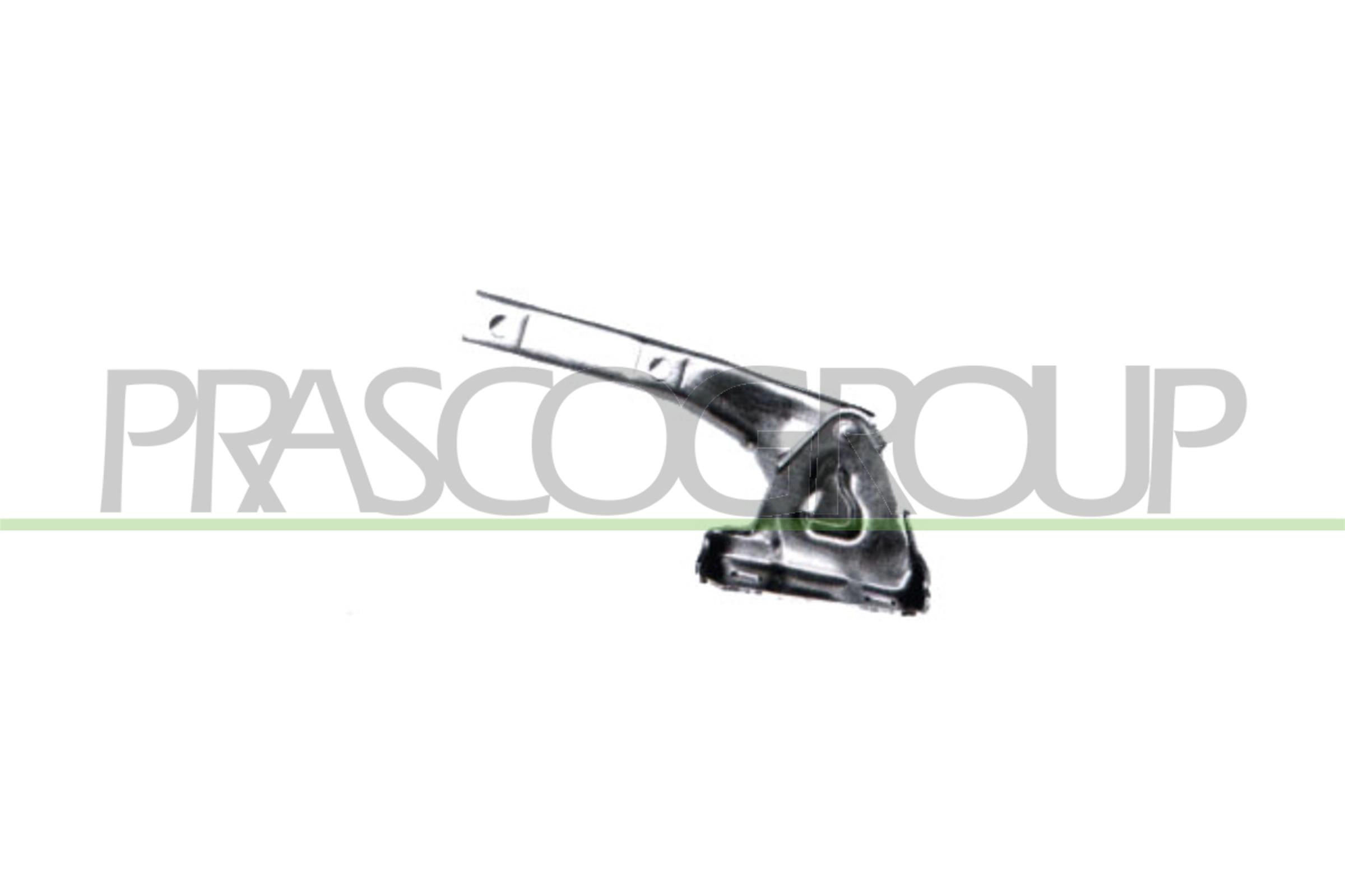 Шарнир капот PRASCO FT1333703