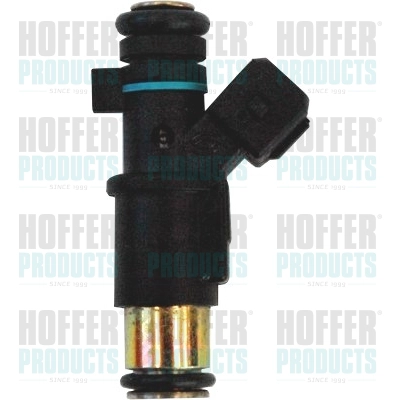 Клапанная форсунка HOFFER H75117168