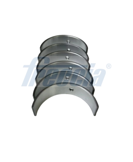 Комплект вкладышей FRECCIA CR19-100400