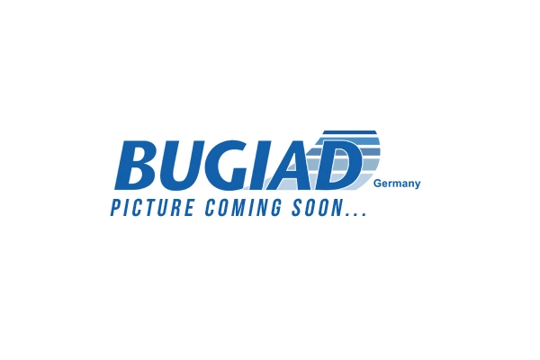 Поворотный кулак подвеска колеса BUGIAD BSP25600