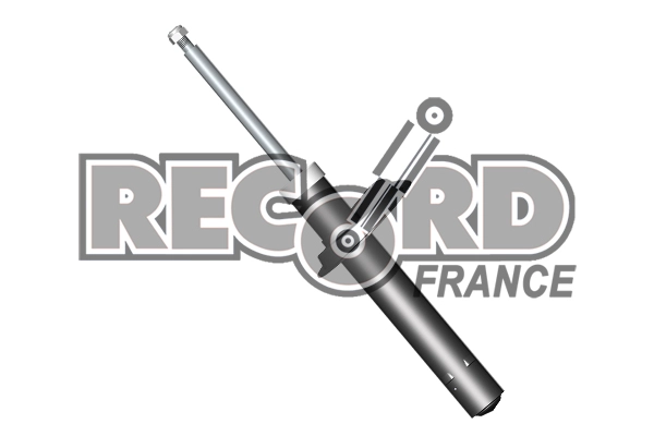Амортизатор super RECORD FRANCE 103919