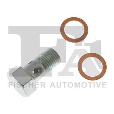 Болт полый m10x1.0x20 bmw (+ 2 шайбы) FA1 98910015021