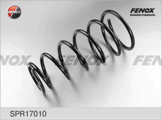 Пружина ходовой части FENOX SPR17010