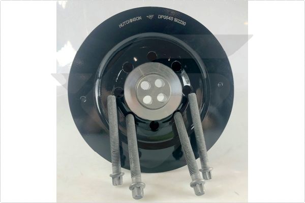 Ременный шкив коленчатый вал HUTCHINSON DP054S