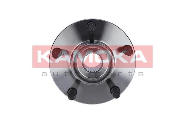 Комплект подшипника ступицы колеса KAMOKA 5500152