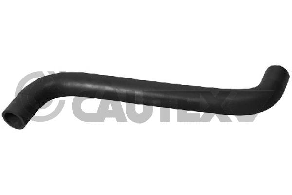 Шланг радиатора CAUTEX 026642