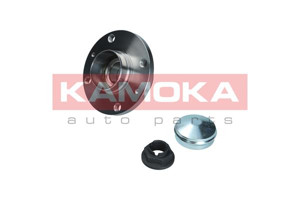 Комплект подшипника ступицы колеса KAMOKA 5500327