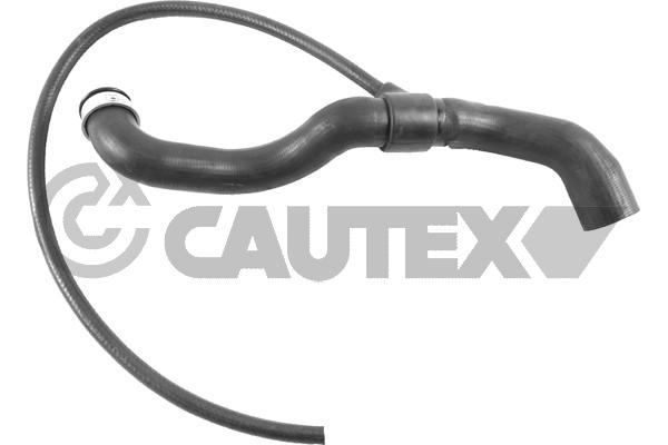 Шланг радиатора CAUTEX 765415
