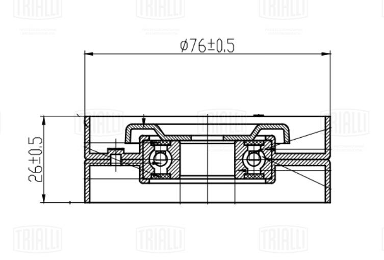 Натяжитель ремня клиновой зубча TRIALLI CM 5409