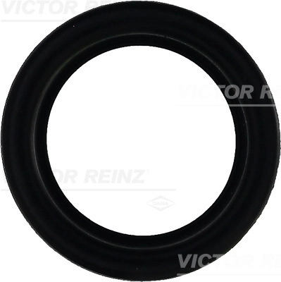 Прокладка крышка головки цилиндра VICTOR REINZ 71-27159-00