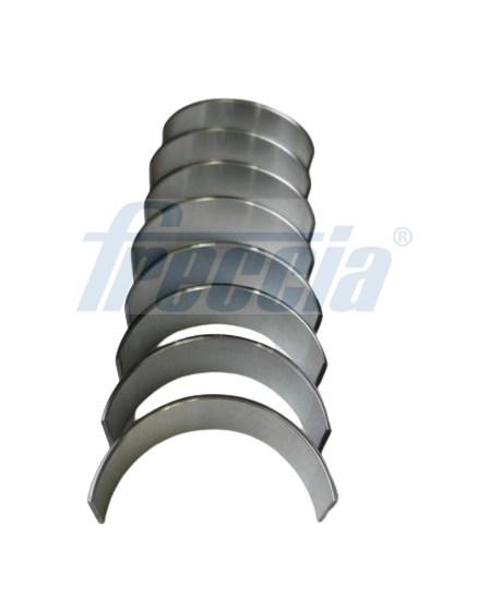 Комплект вкладышей FRECCIA CR19-103307