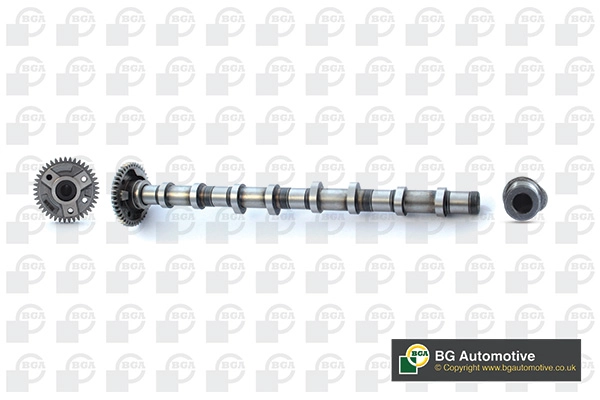 Распредвал BGA CS0900