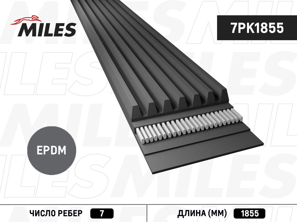 Поликлиновой ремень MILES 7PK1855