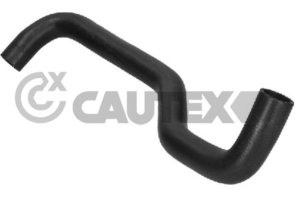 Шланг радиатора CAUTEX 016068