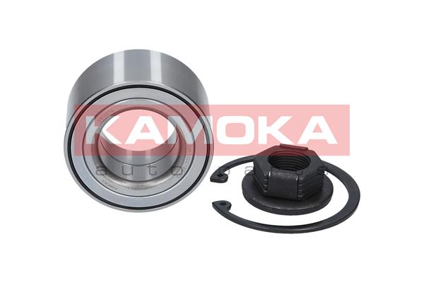 Комплект подшипника ступицы колеса KAMOKA 5600014