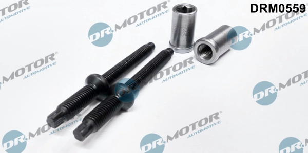 Болт крепление форсунки DR.MOTOR AUTOMOTIVE DRM0559