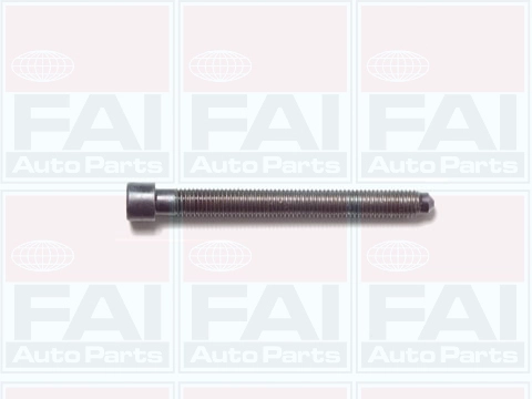 Комплект болтов головки цилидра FAI AUTOPARTS B1006