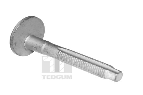 Болт TEDGUM TED39597