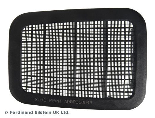 Автозапчасть BLUE PRINT ADBP250046