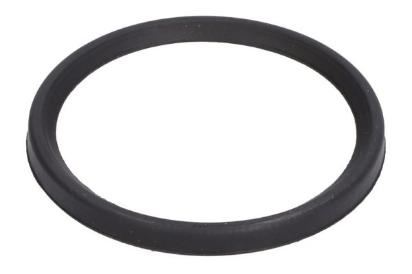 Уплотнительное кольцо трубка нагнетаемого воздуха THERMOTEC DCC079TT