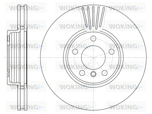 Диск тормозной WOKING D6600.10