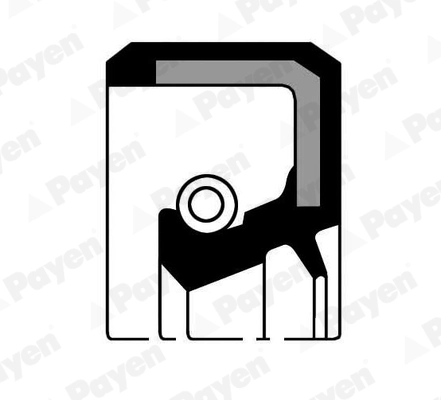 Уплотняющее кольцо коленчатого вала PAYEN NJ154