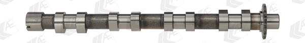 Распредвал AE CAM748