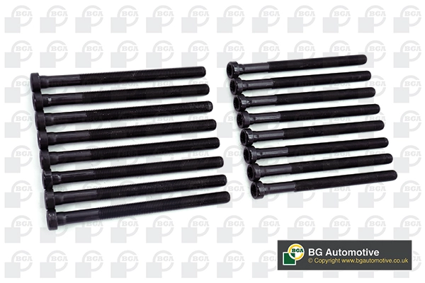 Комплект болтов головки цилидра BGA BK3369