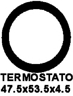 Прокладка термостата AJUSA 00538300