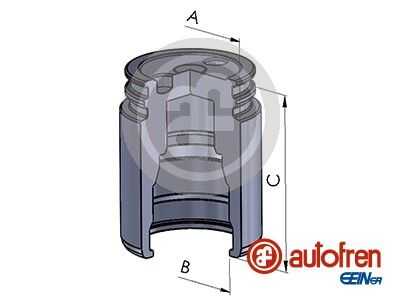 Поршень тормозного суппорта задний SEINSA D025251