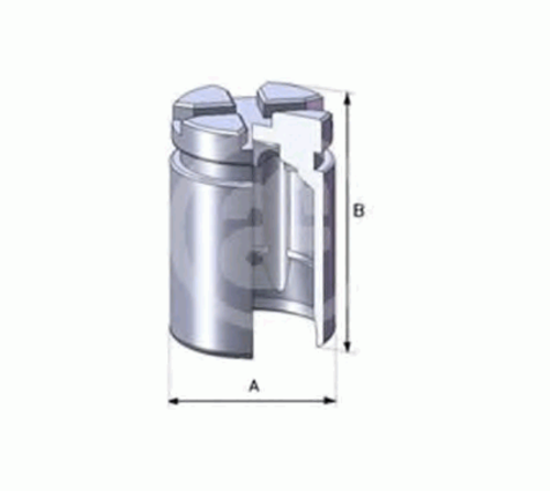 Поршень тормозного суппорта задн. SEINSA D02526