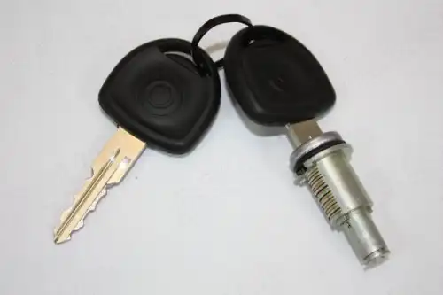 Сердцевина замка зажигания (личинка) AUTOMEGA 100077810