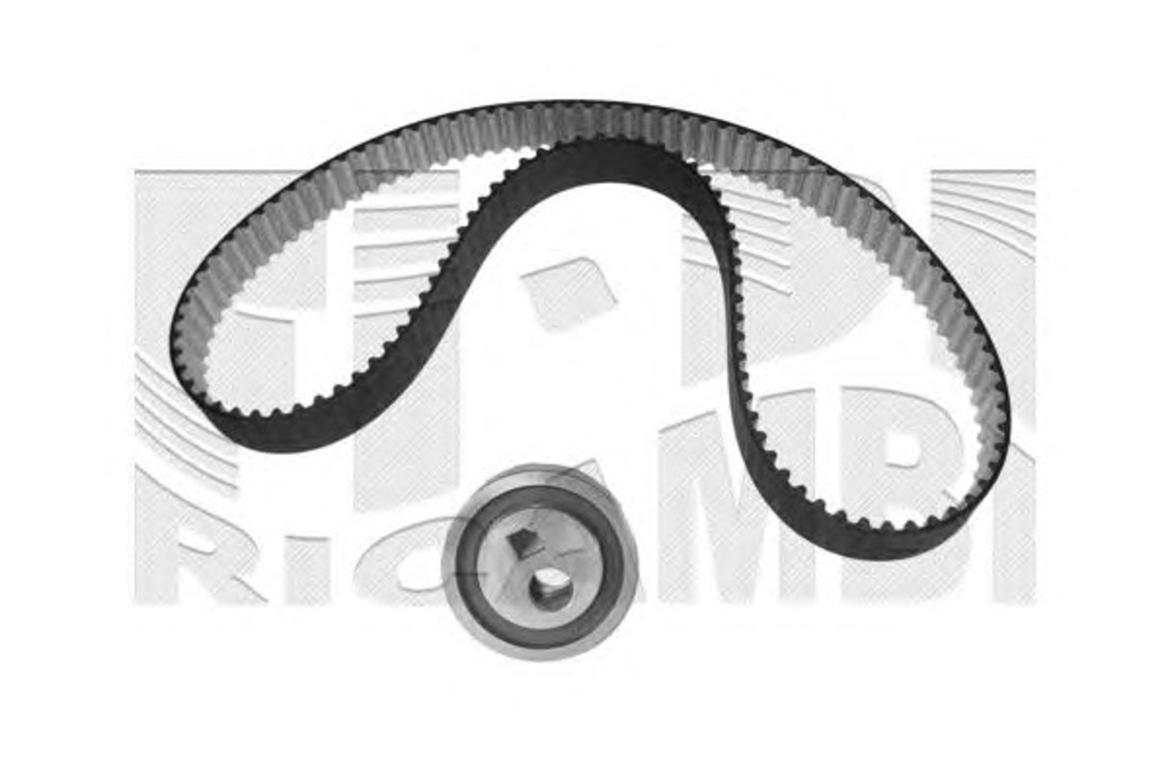 Комплект грм AUTOTEAM KAT1075