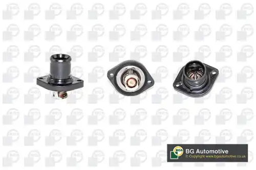 Термостат