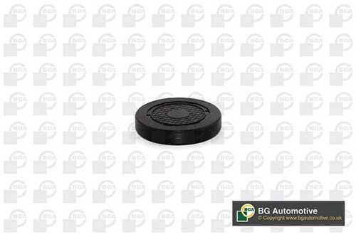 Заглушка оси коромысла BGA PL4601