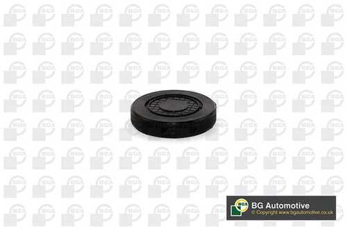 Заглушка оси коромысла BGA PL4602