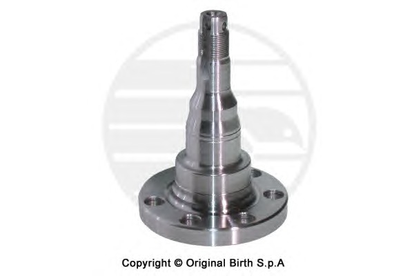 Ступица колеса BIRTH 3270