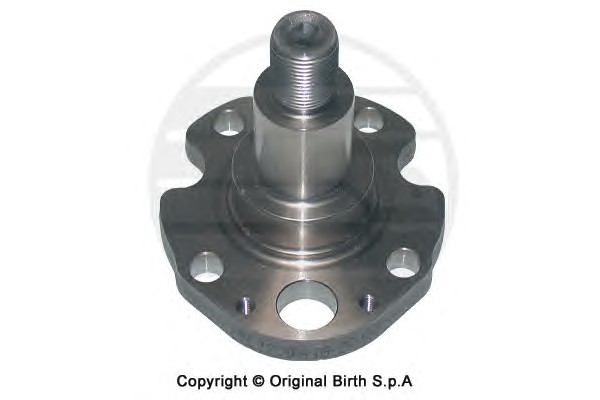 Ступица колеса BIRTH 3398