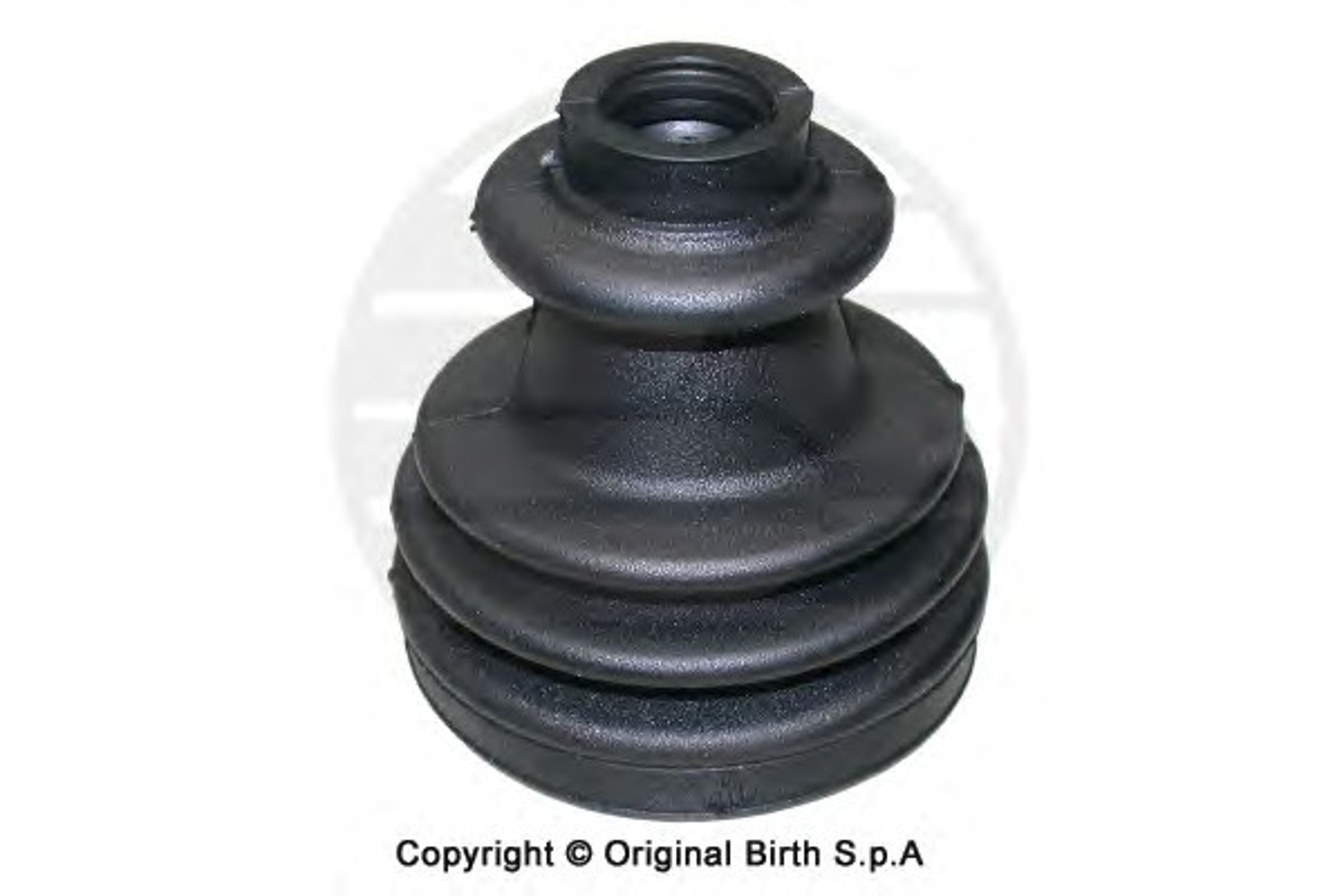 Пыльник шруса BIRTH 7035